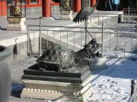 Albums/20030100-China Jan 2003/5